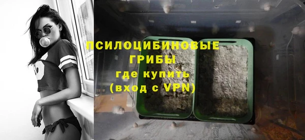 ПСИЛОЦИБИНОВЫЕ ГРИБЫ Лиски
