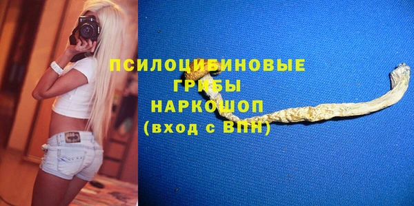 герыч Ладушкин