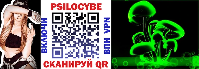 купить  цена  Урюпинск  Галлюциногенные грибы Psilocybe 